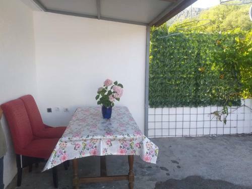 Apartamento Vojvoda