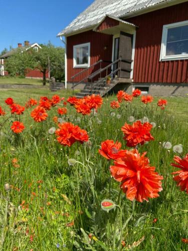 Villa Hus P� Landet I S�dra Kronoberg