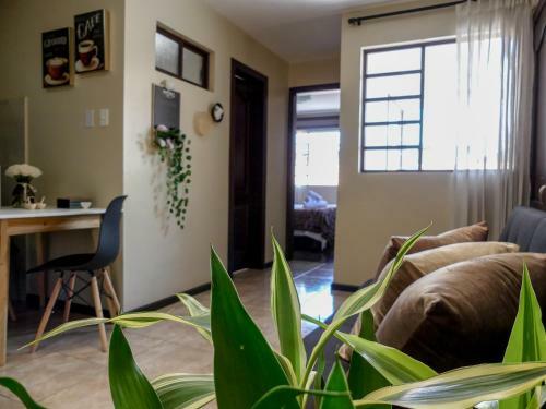 Apartamento (green Suite) Hermano Miguel