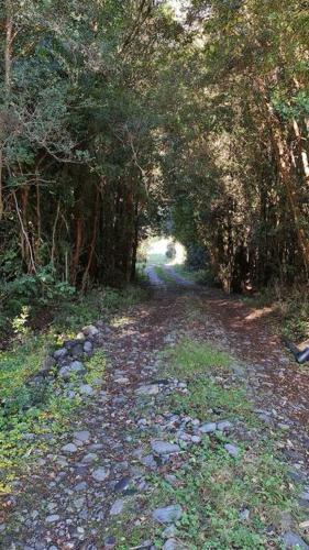 Refugio Huellas De Puelo, Casa De Campo Con Bosque