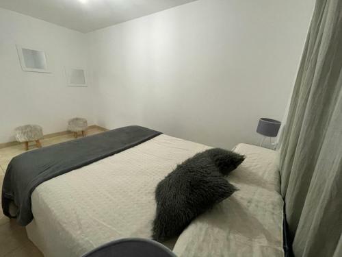 Apartamento Hermoso Y Amplio Departamento Amoblado