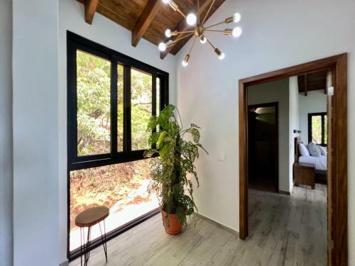 Villa Casa Sirena At Parrot Tree Plantation