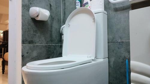 Apartamento Sw Home Mu **** Mont Choisy