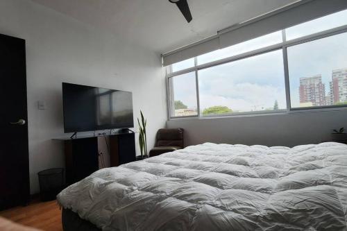 Apartamento Dpto. Completo En Minerva, King Size, Moderno.