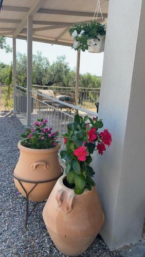 Moi Country Villa