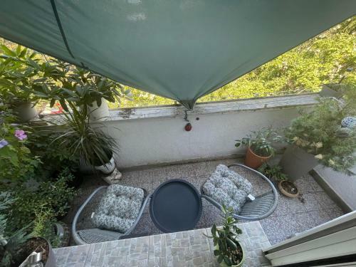 Apartman Avenia