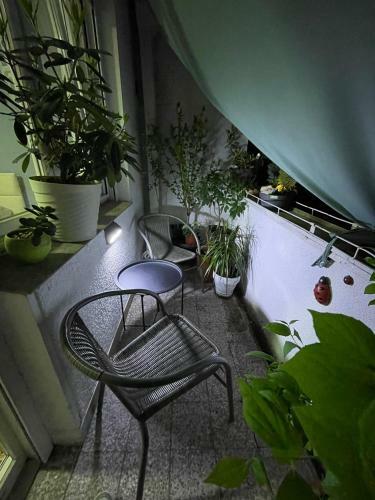Apartman Avenia