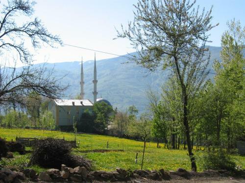 Cal Cave Apart Hotel, ???? ??? ???? ?????