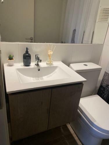 Apartamento C�modo Y Acogedor Departamento Pucon Chile