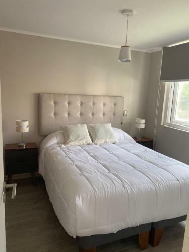 Apartamento C�modo Y Acogedor Departamento Pucon Chile
