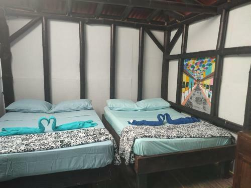 Colors Fantasy Hostel