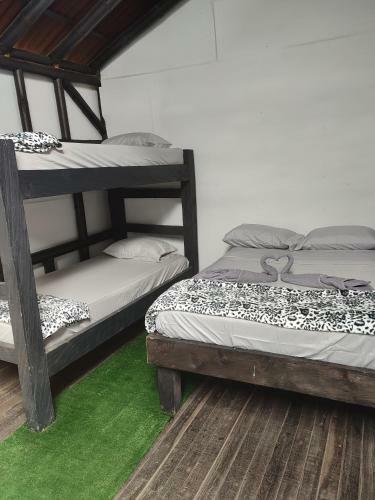 Colors Fantasy Hostel