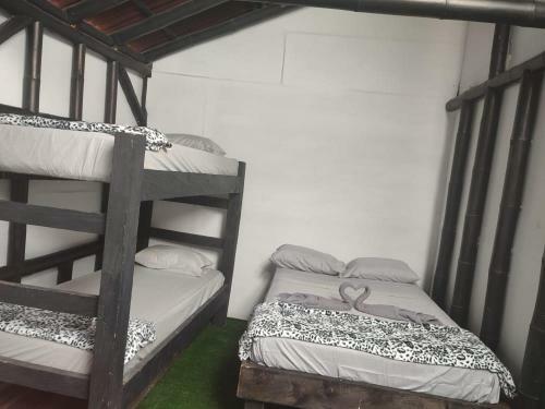 Colors Fantasy Hostel