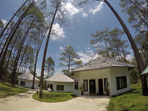 Hotel Vkirirom Pine Resort