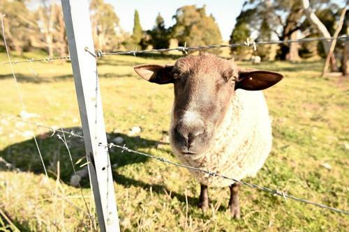 Somerton Park: Idyllic Escape In The Highlands