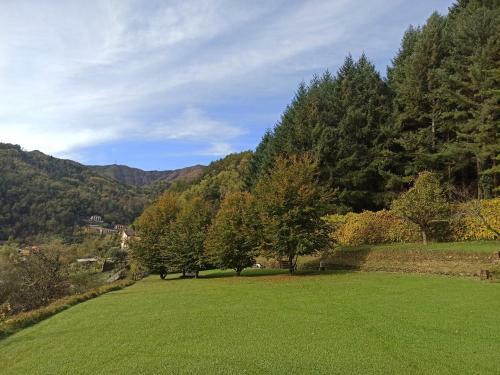 Apartamento Il Bosco Di Campo Marzano Sunlight