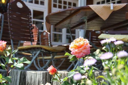 Hostal Hotel Adler B�rental