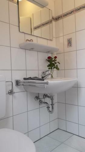 Apartamento Haus Zur Gerberei 100 M Zum Bodensee