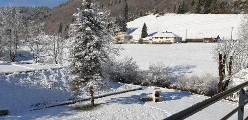 Apartamento Appartement Mijoux