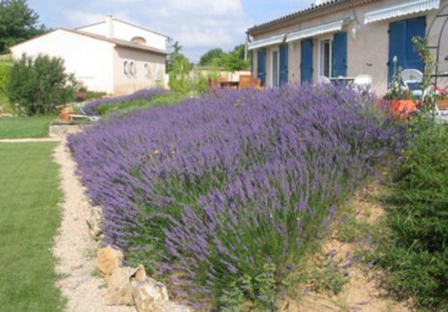 Bed & Breakfast Les Tourterelles