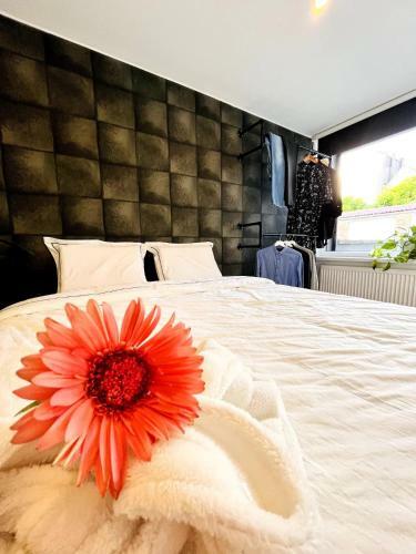 Apartamento Sfeervolle Vakantiewoning Aan Zee