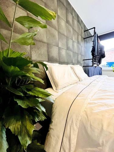 Apartamento Sfeervolle Vakantiewoning Aan Zee