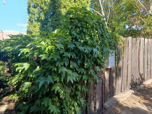 Apartamento P�ratlan Panor�ma K�kduna H�zik�
