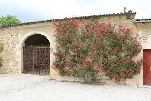 Bed & Breakfast Chateau De Castelneau