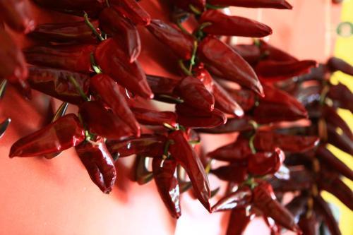 Hotel Restaurant Les Genets