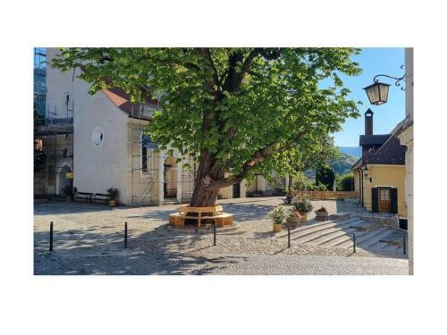 Apartamento Mariandls Appartement&mehr