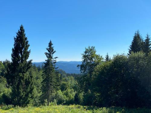 Apartm�n Meluz�na