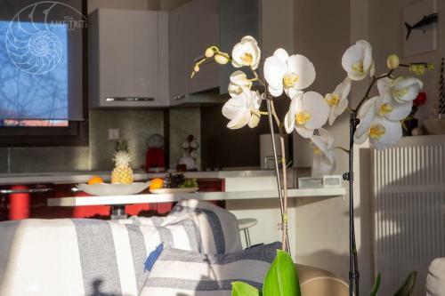 Beach Villa Amfitriti - Your Dream Summer House!