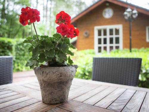 Holiday Home Dopheide Oudturnhout