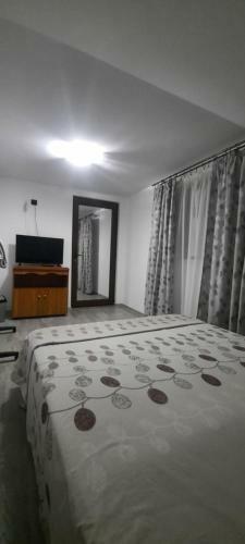 Apartamento Anghel Florin