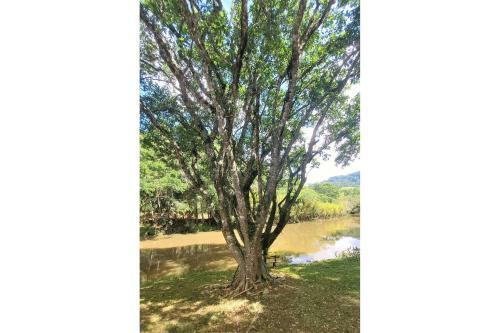 Apartamento Casa Do Lago - Miguel Pereira