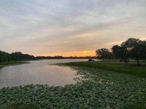 Tropical Escape Close To Top Fl Beaches!