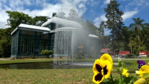 Albergue Quarto Familia Centro Historico De Petropolis