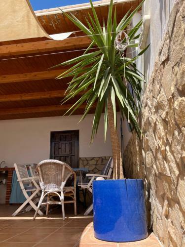 Casa De Pueblo Con Patio Amplio, Cerca De La Playa