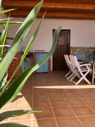 Casa De Pueblo Con Patio Amplio, Cerca De La Playa