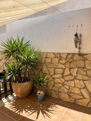 Casa De Pueblo Con Patio Amplio, Cerca De La Playa