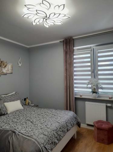 D&a Apartament