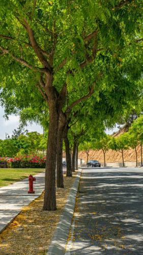 Lovely Apartment Overlooking Golf Course Lake - Ao21622