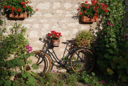 Bed & Breakfast Chambre D'hotes Mas D'arnal