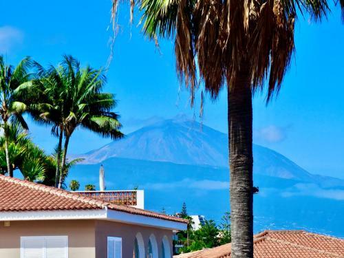 Apartamento �nico En El Sauzal - Inolvidable!!!
