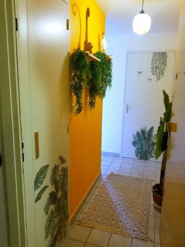 Apartamento Jungle Studio Proche De La Gare - Bloomy Appart