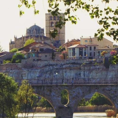 Apartamentos A Los Ojos Del R�o Duero