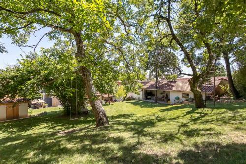 Hamac Suites / La Fid�sienne / Luxe / Pool / Clim