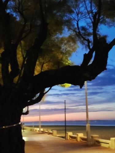 Villa Confort Et Charme � 4km D'arcachon Centre
