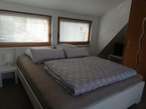 Apartamento Ferienhaus An Der Brunnenaue