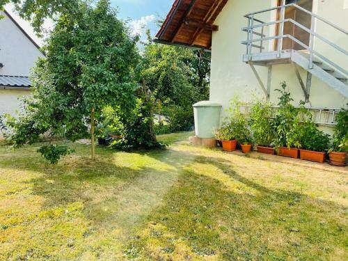 Apartamento Ferienappartement Am Almesbach Weiden